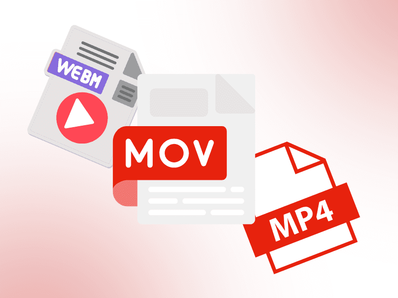 Supported video formats